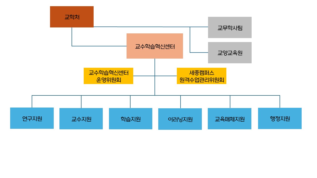 고려대학교 세종캠퍼스 교수학습혁신센터 조직도